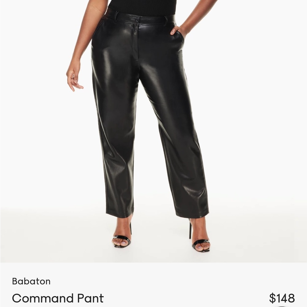 Aritzia Babaton leather Command pant